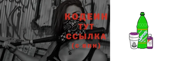 соль ск Коряжма