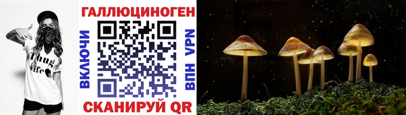 Купить  Буйнакск  Галлюциногенные грибы мицелий 